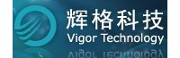 VIGOR-Ը