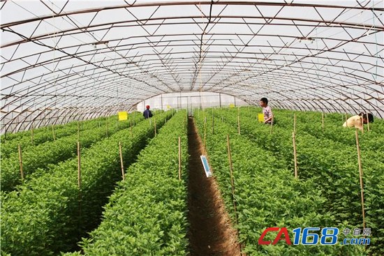 柏克UPS电源助力北京延庆农场打造现代农业基地