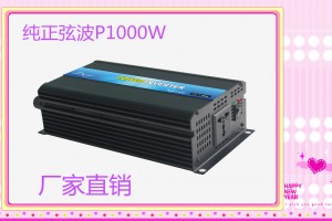 ǨׯгP-1000W