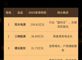 ���ӯ�����а�2025��˭��׬Ǯ�� 2025��������ҵӯ��TOP�� #���ӯ�����а�