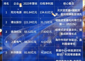 ���������ӡ������2025��ӯ����˭׬˭���� 2025���������ҵӪ�����а�